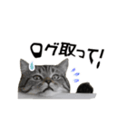 ITエンジニアの会話（個別スタンプ：1）