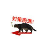 ITエンジニアの会話（個別スタンプ：7）