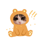猫のモモ（個別スタンプ：10）