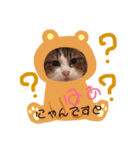 猫のモモ（個別スタンプ：11）