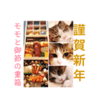 猫のモモ（個別スタンプ：16）