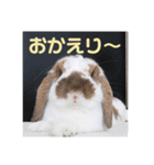 毎日たーたん（個別スタンプ：2）