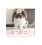 毎日たーたん（個別スタンプ：7）