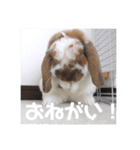 毎日たーたん（個別スタンプ：9）