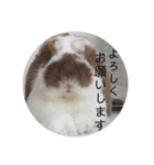 毎日たーたん（個別スタンプ：16）