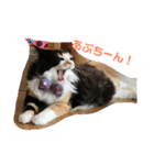 たんこまあるちゃん その1（個別スタンプ：1）