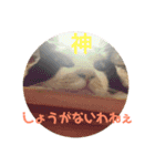 たんこまあるちゃん その1（個別スタンプ：11）
