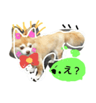 犬たろちゃん2（個別スタンプ：2）
