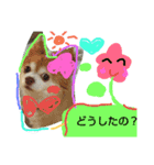 犬たろちゃん2（個別スタンプ：5）