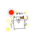四角いゆるネコさん（個別スタンプ：1）