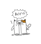 四角いゆるネコさん（個別スタンプ：15）