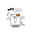 四角いゆるネコさん（個別スタンプ：39）