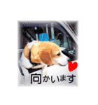 可愛いチョロちゃんスタンプ（個別スタンプ：7）