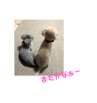 猛犬三兄弟(第一弾)日常編（個別スタンプ：2）