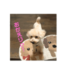 猛犬三兄弟(第一弾)日常編（個別スタンプ：3）