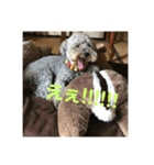 猛犬三兄弟(第一弾)日常編（個別スタンプ：7）