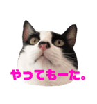 我が家のぽんずくん3（個別スタンプ：15）
