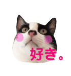 我が家のぽんずくん3（個別スタンプ：18）