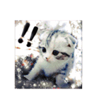 リアル にゃんこ（個別スタンプ：28）