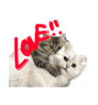 しらすとじゃこでございます。（個別スタンプ：5）