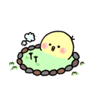 はなのぴよのすけ（個別スタンプ：11）