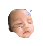 アックンスタンプ（個別スタンプ：1）
