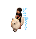 みずたふぁみり（個別スタンプ：5）