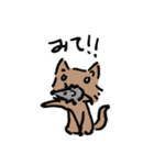 寂しがり屋な猫さん（個別スタンプ：1）