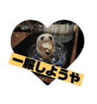 適当スタンプ2回目（個別スタンプ：10）