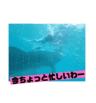 適当スタンプ2回目（個別スタンプ：12）