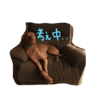 オリバーとその仲間たち（個別スタンプ：6）