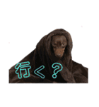 634ムサシ（個別スタンプ：2）