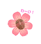 634ムサシ（個別スタンプ：31）
