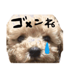 マロだお。（個別スタンプ：29）
