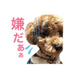 マロだお。（個別スタンプ：35）