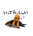 マロだお。（個別スタンプ：37）