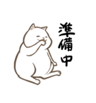にゃんこステッカー（白猫）（個別スタンプ：6）