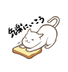 にゃんこステッカー（白猫）（個別スタンプ：9）