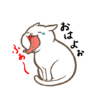 にゃんこステッカー（白猫）（個別スタンプ：13）