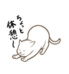 にゃんこステッカー（白猫）（個別スタンプ：14）