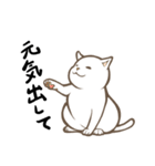 にゃんこステッカー（白猫）（個別スタンプ：16）