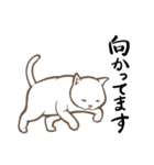 にゃんこステッカー（白猫）（個別スタンプ：25）