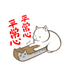 にゃんこステッカー（白猫）（個別スタンプ：34）