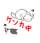 にゃんこステッカー（白猫）（個別スタンプ：36）
