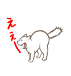 にゃんこステッカー（白猫）（個別スタンプ：40）