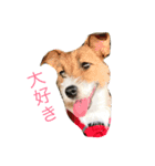 可愛いワンチャン（個別スタンプ：8）