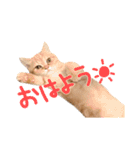 ゆずちゃんスタンプ  (実写)（個別スタンプ：1）