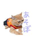 ゆずちゃんスタンプ  (実写)（個別スタンプ：13）