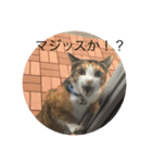 ガジラ6（個別スタンプ：3）