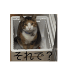 ガジラ6（個別スタンプ：4）